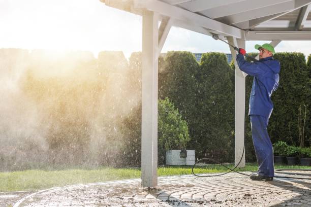 Best House Exterior Washing  in Salt Creek Commons, IN