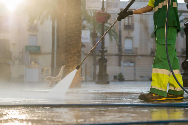 Best Fence Cleaning  in Salt Creek Commons, IN